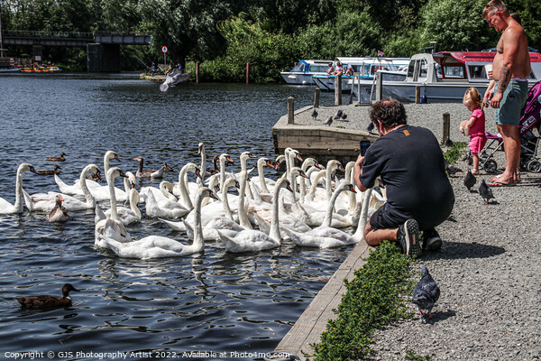 Busy at Wroxham Picture Board by GJS Photography Artist