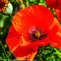Buy canvas prints of More Poppy Bugs by GJS Photography Artist