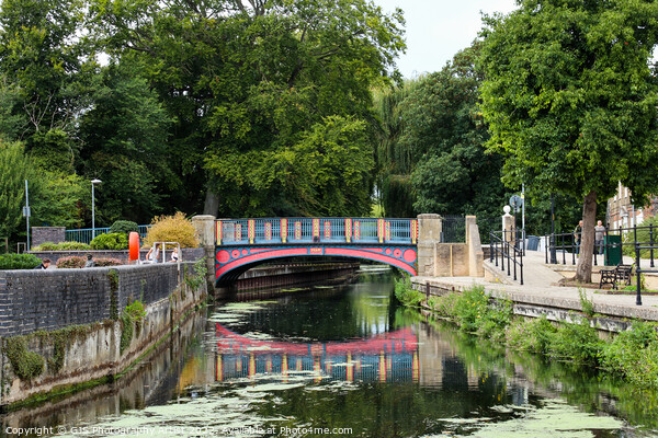 Thetford Town Bridge Crossing Little Ouse Picture Board by GJS Photography Artist