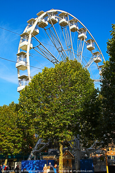 Ferris Wheel Behind the Trees Picture Board by GJS Photography Artist