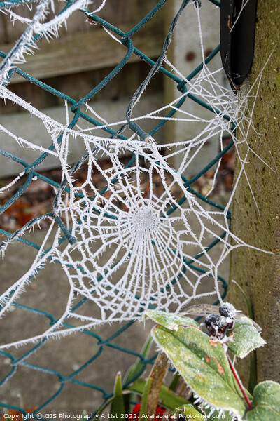 Web in a Fence Picture Board by GJS Photography Artist
