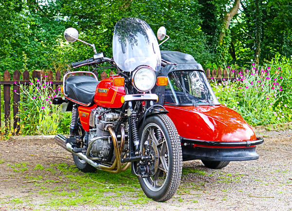 Classic Suzuki with Vintage Sidecar Picture Board by GJS Photography Artist