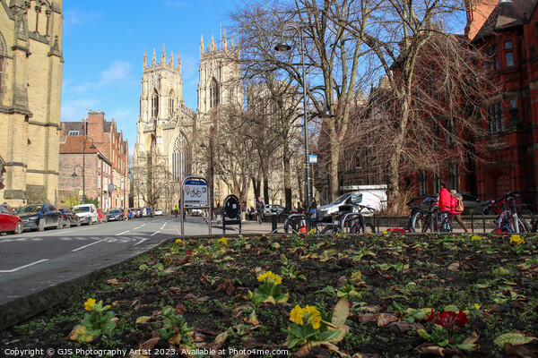 York Minster from the Flowerbed Picture Board by GJS Photography Artist
