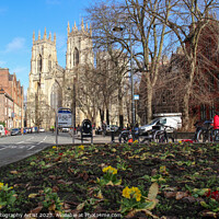 Buy canvas prints of York Minster from the Flowerbed by GJS Photography Artist