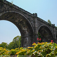 Buy canvas prints of Knaresborough ViaDuct Over the Nidd by GJS Photography Artist