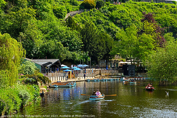 Rowing on the Nidd Picture Board by GJS Photography Artist