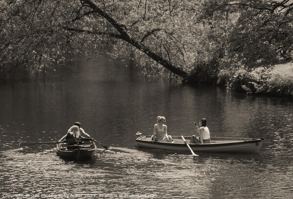 Accidental Inclusion On The Nidd Sepia Picture Board by GJS Photography Artist