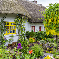 Buy canvas prints of thatched cottage in Adare, Ireland by Christian Lademann