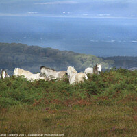 Buy canvas prints of Gower coast landscape white horses by Sharon Cocking