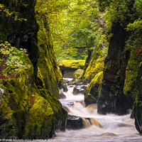 Buy canvas prints of Fairy Glen North Wales by philip kennedy