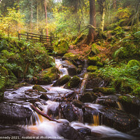 Buy canvas prints of Wyming Brook. Yorkshire by philip kennedy