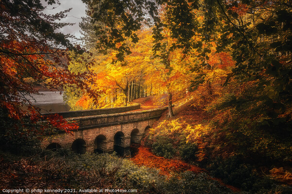 Autumn Bridge Picture Board by philip kennedy