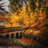 Buy canvas prints of Autumn Bridge by philip kennedy