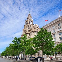 Buy canvas prints of The Royal Liver Building  by philip kennedy