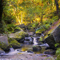 Buy canvas prints of Autumn River by philip kennedy