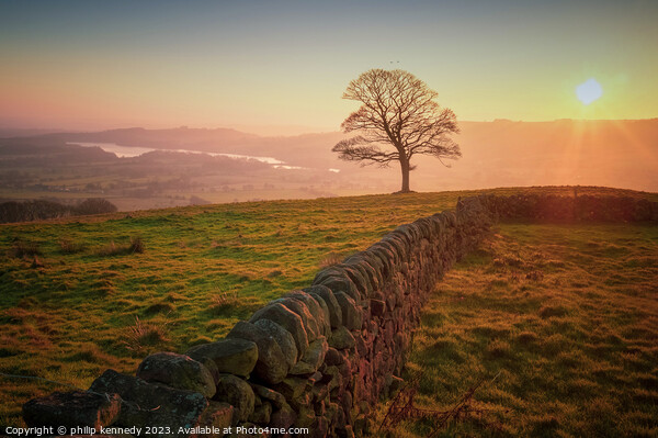 Sunset at Tittesworth Picture Board by philip kennedy
