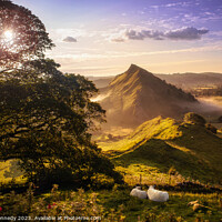 Buy canvas prints of Chrome Hill at Dawn by philip kennedy