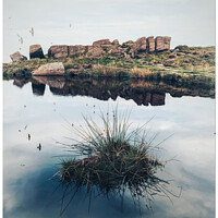 Buy canvas prints of The Swallows at Doxy Pool by philip kennedy