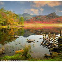 Buy canvas prints of Blea Tarn in the lake district by philip kennedy