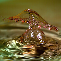 Buy canvas prints of Water Drop Crown Collision by Antonio Ribeiro