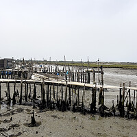 Buy canvas prints of Carrasqueira Palafitic Pier during Low Tide by Antonio Ribeiro