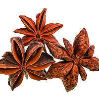 Buy canvas prints of Star Anise Isolated on White Background by Antonio Ribeiro