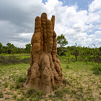 Buy canvas prints of Litchfield Cathedral Termite Mounds by Antonio Ribeiro
