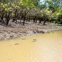 Buy canvas prints of Kakadu Yellow Water (Ngurrungurrudjba) Wetlands  by Antonio Ribeiro