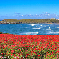 Buy canvas prints of Poppies over the Bay by Geoff Tydeman