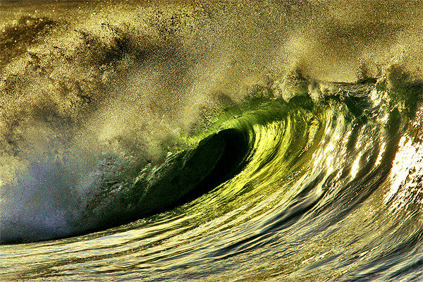 Wild Wave Picture Board by Geoff Tydeman