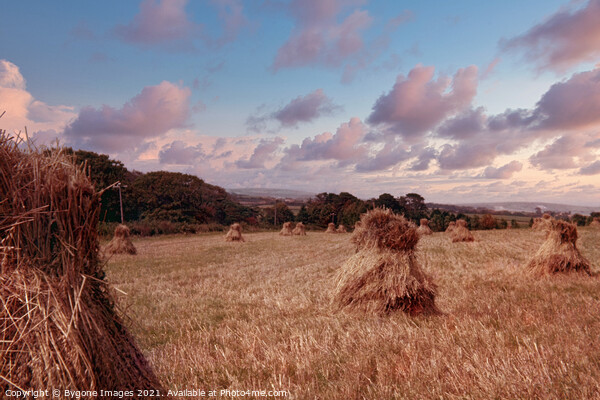 Mini Hay Stacks or Bales Isle of White 1954 Picture Board by Bygone Images