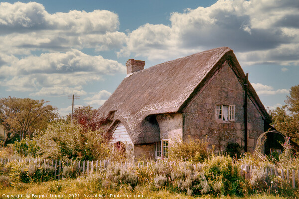 Thatched Cottage Isle of White 1954 Picture Board by Bygone Images