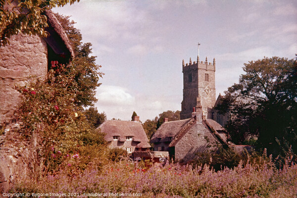 Godshill Village Isle of White 1957 Picture Board by Bygone Images