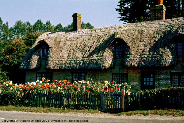 Thatched Cottage Beaulieu 1969 Picture Board by Bygone Images