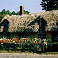 Buy canvas prints of Thatched Cottage Beaulieu 1969 by Bygone Images