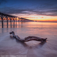 Buy canvas prints of driftwood by stephen cooper