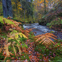 Buy canvas prints of autumn colours by stephen cooper