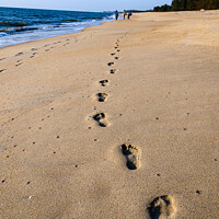Buy canvas prints of Footprints on the sand by Lucas D'Souza