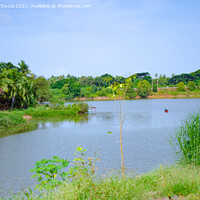 Buy canvas prints of Backwaters  by Lucas D'Souza