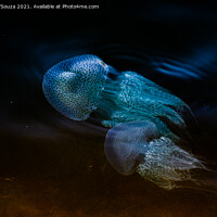 Buy canvas prints of Fluorescent jelly fish  by Lucas D'Souza