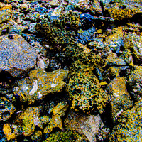 Buy canvas prints of Colourful rocks on the beach by Lucas D'Souza
