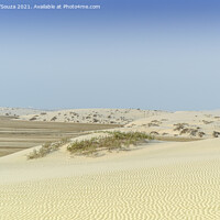 Buy canvas prints of Desert landscape by Lucas D'Souza