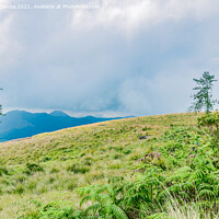 Buy canvas prints of Misty mountains of Munnar, Kerala, India by Lucas D'Souza