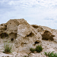 Buy canvas prints of Volcanic rocks at Al Ghariya, Qatar by Lucas D'Souza