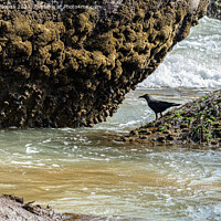 Buy canvas prints of Sea inlet between rocks by Lucas D'Souza