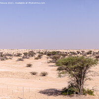 Buy canvas prints of Desert Landscape by Lucas D'Souza