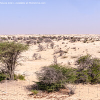 Buy canvas prints of Desert Landscape by Lucas D'Souza
