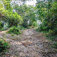 Buy canvas prints of Hill pathway by Lucas D'Souza