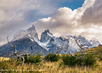 Click to show how this picture will look as a piece of wall art