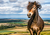 Click to show how this picture will look as a piece of wall art